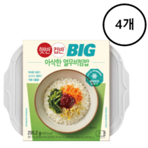 [신제품] CJ 비비고 컵밥 컵반 아삭한 열무비빔밥 4개