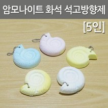 암모나이트 화석 석고방향제 5인, 1개