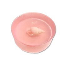 마이사이언스 호박화석 (5명 세트) / (ICE), 상세페이지 참조