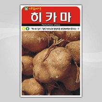 슬로시 슬로시 김장 채소 씨앗 무 배추 당근 씨 종자, 히카마얌빈20립(아람)