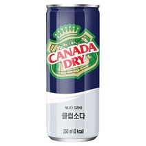 캐나다드라이 클럽소다 250mlx30캔x2박스, 상세페이지 참조