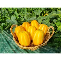 성주 꿀참외 고당도 신선한 성주 꿀 참외 2kg 3kg 5kg 10kg 이로, 10kg(30~49개), 48개