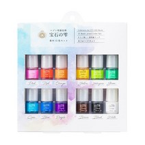 파디코 레진 조색제 착색제 2ml 12색 세트