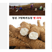 국산 깐더덕 산더덕 자연산더덕 더덕요리 더덕 구이 더덕주 햇 선물 고급, 1kg/실속있는 (중/13cm내외)사이즈, 1개
