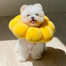 강아지 방수 넥카라 중성화 수술 후 상처 방지 목걸이 사이즈 조절 가능 경추 보호, 썬플라워