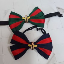 윙윙 강아지보타이 고양이보타이, 그린