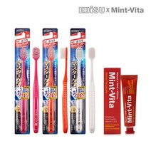 에비스칫솔 마스터케어 3개 민트비타치약 스트롱플라그 40g 1개, 단품