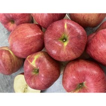 사과 홍로 가정용 2kg 3kg 5kg 청송 상주, 1개, 홍로 사과 중과(로얄과) (10-14과) 3kg