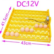 닭 사육 63 계란 인큐베이터 회전 트레이 가금류 부화 장비 오리 및 기타 가금류 계란, 12v, m