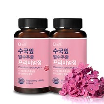 큐린스 수국잎 열수추출물 프리미엄정 1000mg x 60정, 2통