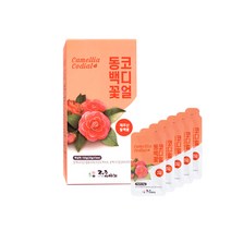 제주이야기 스틱형 액상차 동백꽃 1세트, 100g, 1개