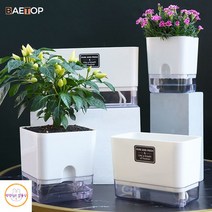 수경재배키트 가정용스마트팜 딸기수경재배 식물생장등 수경재배새싹삼 식물키우기 수경화분 새싹삼키우기, Rectangle-L, 4 Packs
