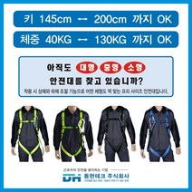 동현테크 [세계 최초 프리사이즈 안전벨트] - 죔줄 1개 벨트X, Free-S-N (형광색) 벨트X