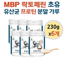 50대 여성 MBP 락토페린 농축유청단백 성장기 단백질 면역글로블린 초유단백질 엠비피 어린이 청소년 키즈 성인 파우더 가루 분말 저스트초유 60대 COLOSTRUM MILK POWDER