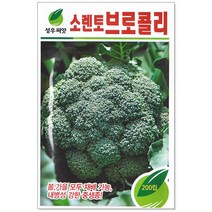 브로콜리 200립 채소씨앗