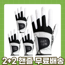 2+2 gmax 핸즐 연습용 필드용 추천 골프장갑 4p, 남성 왼손