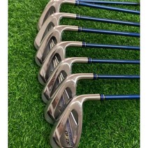 남자 mp1100 아이언 8개 세트 남성 xxio 아이언 골프 골프채 골프클럽 젝시오11, 다이나믹 골드 R300