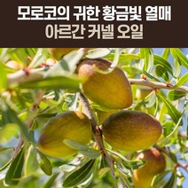 1일 1회 1캡슐로 간편하게 섭취하는 캡슐타입 아르간 오일 에이스아르간오일캡슐 500mg x 30캡슐, 1