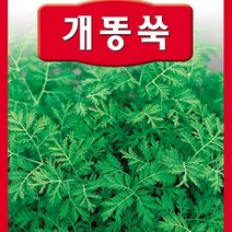 [가람종묘사] 개똥쑥 씨앗(원기회복 피로회복 염증완화 및 각종 질병 면역력 강화에 도움), 1개