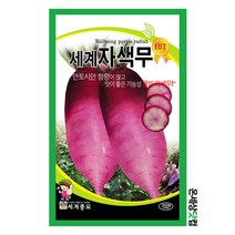 세계자색무 100립 / 무씨앗 무우씨 김장무 자색무