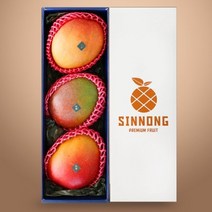 참다올 [참다올] 프리미엄 애플망고 아람세트(애플망고 3입 개당 약420g 총 약1.26kg), 단품