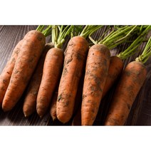 건강한 국산 햇당근 산지직송 흙당근 완충포장 완벽배송, 5kg (중), 1개