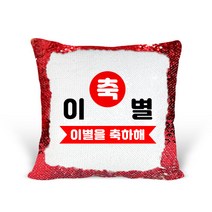 [리라상점] 놀림선물 맞춤 문구 스팽글 쿠션 / 기념일 이벤트선물 솜포함 / 바로 선물 가능한 스팽글쿠션, 1.축이별