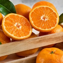 [지구다움] 부와 명품의 향기 제주황금향 추석명절과일선물세트, 선물세트3 (5kg 스페셜사이즈17~25개), 없음