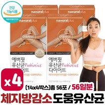 체지방 감소 도움 가르시니아 유산균 다이어트 14포 ﻿x 2박스 4주분 . 건강기능식품 장 밸런스 HCA + 프로바이오틱스 무첨가물 간편한 스틱포장, 2세트 ( 4박스,8주분 )