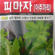 [가람종묘사] 피마자(아주까리) 씨앗(잎도 열매도 이용이 가능한 재래종 종자)