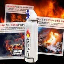 차량용 휴대용 소화기 스프레이 가정 주방, 단일제품