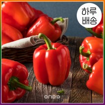 [온도씨] [하루배송]가락시장 홍피망 5kg, 상세 설명 참조