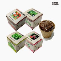 집에서 상추 방울토마토 봉선화 강낭콩 키우기 세트
