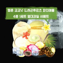 민트팬트리 멜론 코코넛 드래곤후르츠 파인애플 열대과일 샤베트 4종 1세트