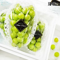 블랙라벨 샤인머스켓 2kg 아이스박스, 없음