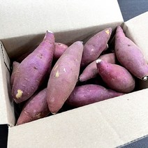 [세척] 간식용 꿀고구마 한입사이즈, 2kg