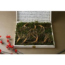 강원 진삼애 산양삼 9-10년근 7뿌리, 없음, 1개