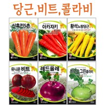 주주씨앗 당근 비트 콜라비 / 그린콜라비 / 레드올레 / 비트 / 빨강당근 / 노랑당근 / 봄당근 / 뿌리채소 / 씨앗 / 텃밭씨앗 / 베란다텃밭 / 씨앗키우기 / 주말농장, 7. 티파니콜라비 2500립