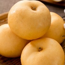 [명절선물] 배 나주 햇배 신고 특품 가정용 설 명절 과일 선물 세트, 햇배(신고) 특품 5kg (8-10과)