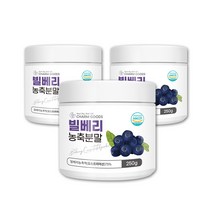 야생 와일드 블루베리 농축액 빌베리 가루 분말 블루베리차 안토시아닌 3통