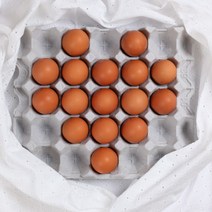 영웅아빠 구운계란 훈제란 찜질방 에서 먹는 그맛 구운란, 훈제란90구