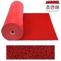 초면애 현관 출입구 발판 미끄럼방지 코일매트 일반형A 레드 120x300, 1개