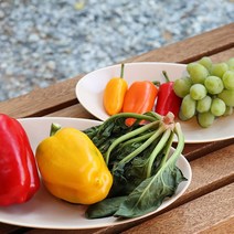 그레이하우스 우디 도자그릇 타원 사각 도자기접시 테이블웨어 식기 플레이팅 파스타접시 신혼그릇, 타원접시