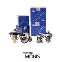 모비스 싼타페CM 2.0 썸머스타트 25500-27000 더스타일 전모델 써모스탯