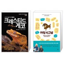 신비의 섬 작은 멋쟁이 크레스티드 게코 + 카밍 시그널 [세트상품]