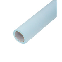 다용도 부직포 포장지, 연하늘, 1개