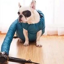 강아지 펫 헤어 드라이어 목욕 건조기, 블루 XL 30-50kg