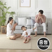 [모비딕컴퍼니] 대자리카페트 자리 여름카페트 여름자리 거실대자리 나무카페트 거실매트, 잇★ 먼지없는 자가드 카페트매트 평직 거실러그 중형, 잇★ 챠콜