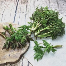 강원도 눈개승마 ( 봄철 채소 능개승마 ), 눈개승마 1kg