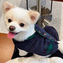 강아지할매조끼 강아지 할머니조끼 방한복 털옷 개타고니아 옷 후리스 체크, 그린M